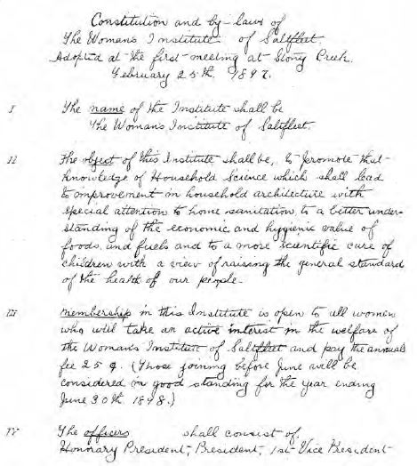 Image of the handwritten Constitution and By-laws of the first Women's Institute.
