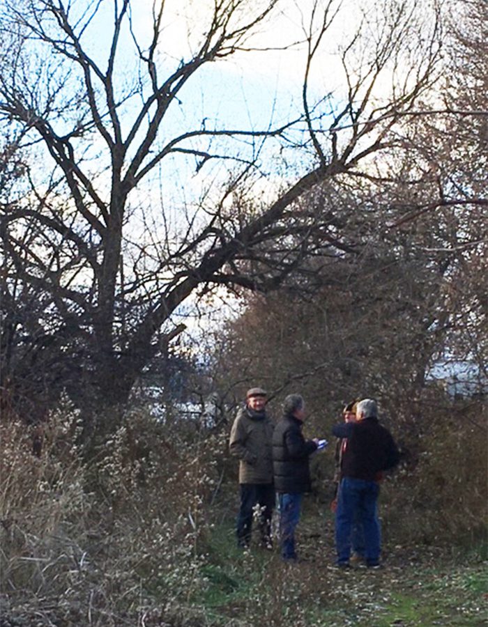 Four people stand near what remains of pear and apple trees planted by Brightside residents.