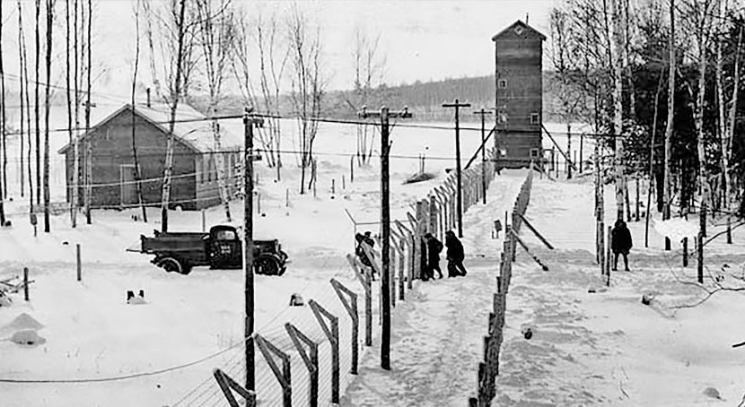 View of the isolated Petawawa concentration camp surrounded by tall barbed wire fencing.