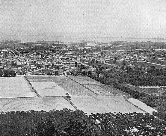 Aerial photo Jubilee farm looking toward the bay.