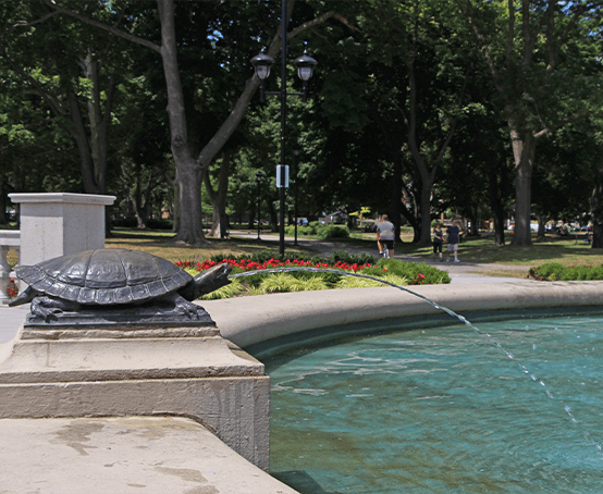 Turtle statuette spouting water.