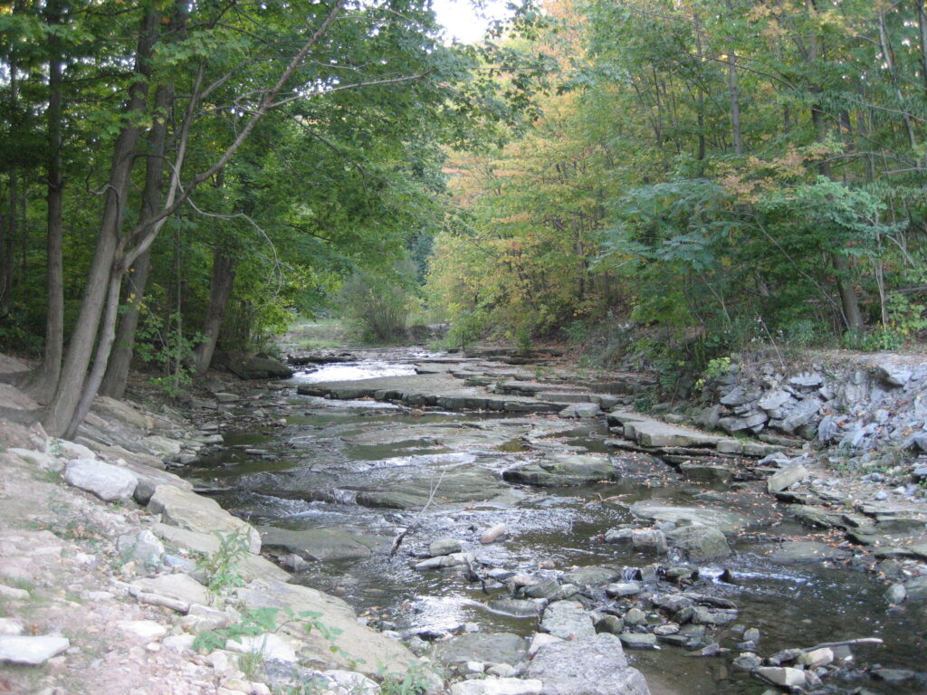 Image of the Red Hill Creek