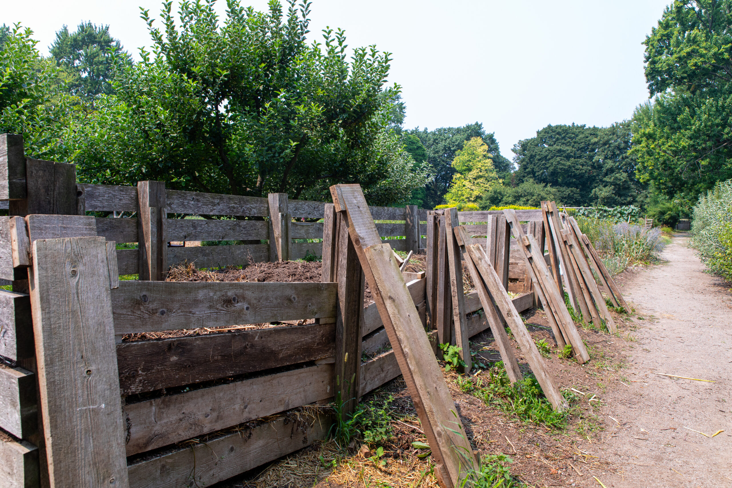 Spring Garden Sneak Peek