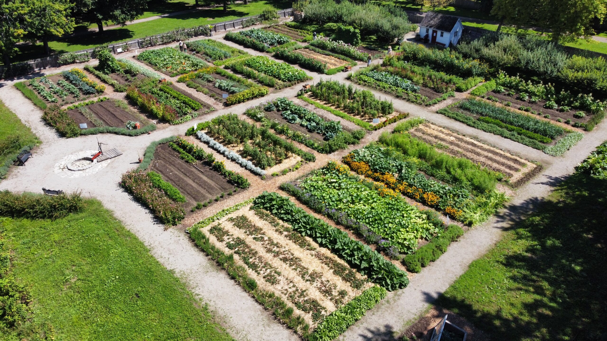A drone shot of the garden at an angle. It is peak summer fullness with rectangular garden beds and many shades of green. Between the beds are woodchip and gravel paths.