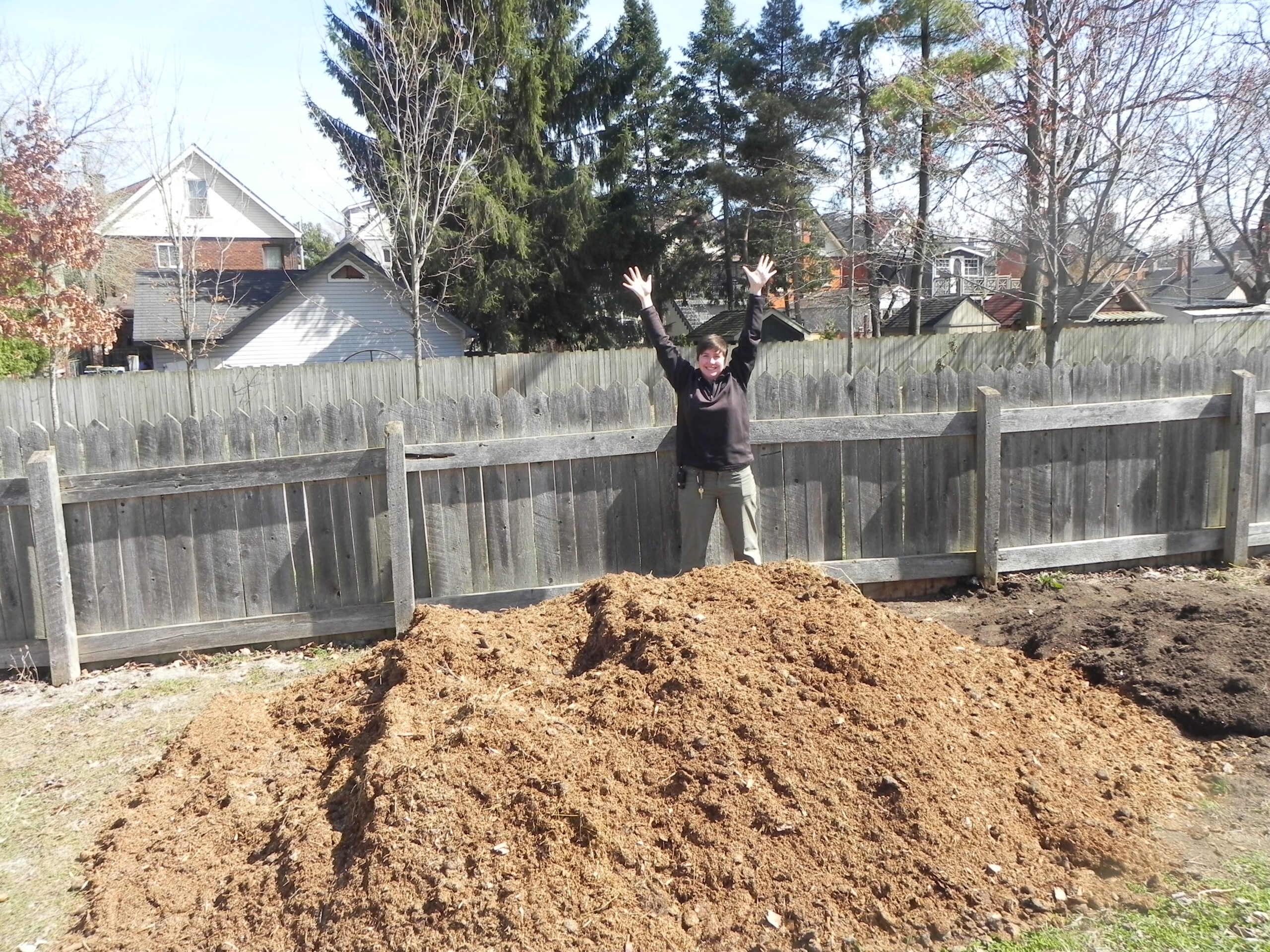 A gardener stands with their hands up in joy behind a large pile of horse manure. A wooden picket fents runs along the background.