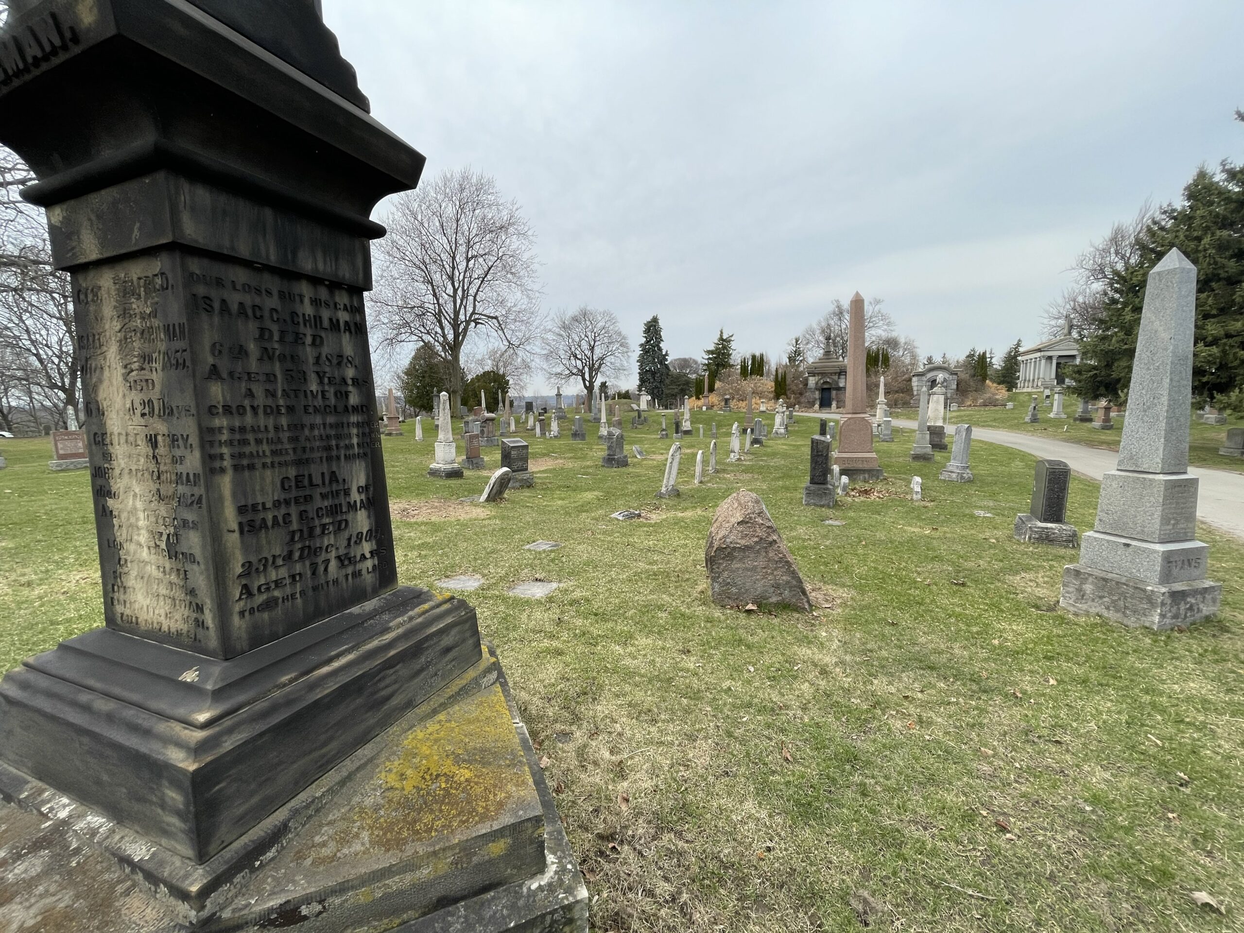 A landscape of Hamilton Cemetery on a grey sky day with one large dark gravestone in the foreground.