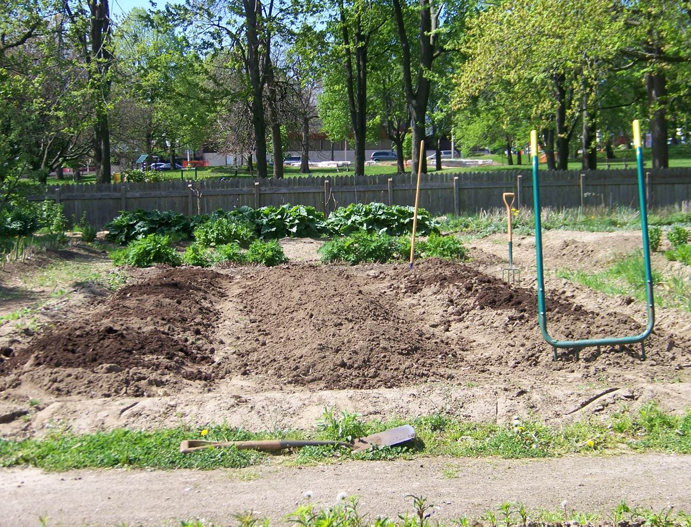 3 long garden beds are empty with their soil turned.