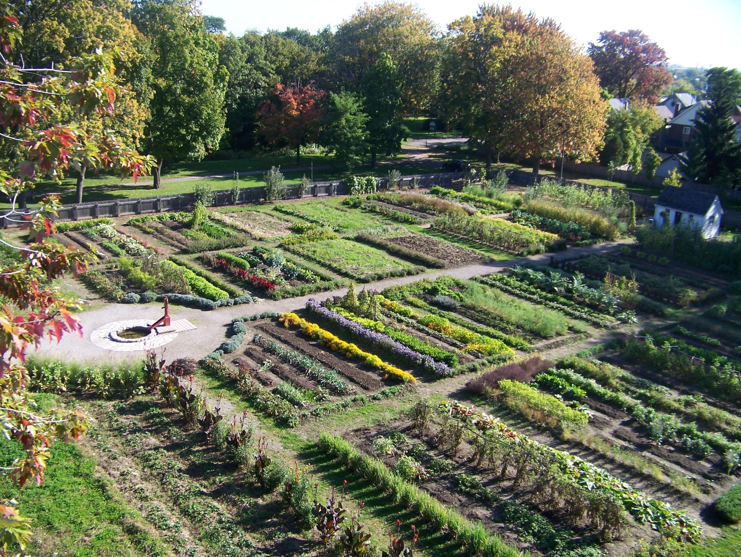Heirloom Tomato Experience