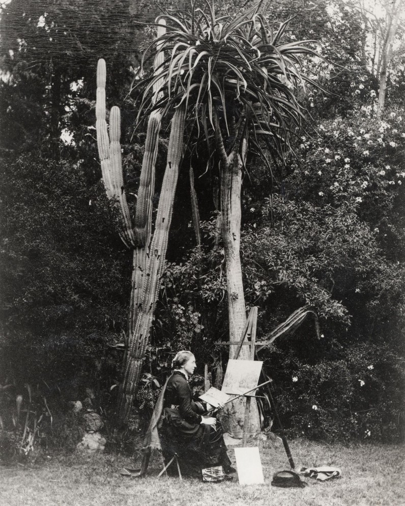 A black and white photograph of a woman sitting at an easel with painting tools and supplies. she sits in front of a large cactus and tree.